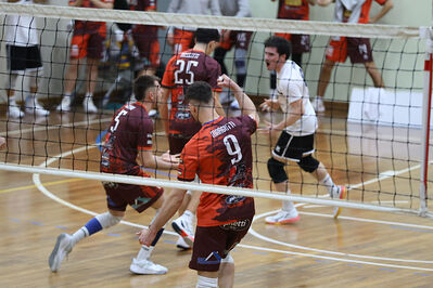 CAVALLINO 4 TORRI - HOKKAIDO BOLOGNA