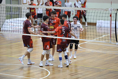 CAVALLINO 4 TORRI - HOKKAIDO BOLOGNA