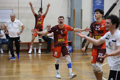 CAVALLINO 4 TORRI - HOKKAIDO BOLOGNA