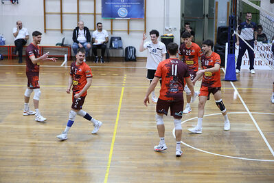 CAVALLINO 4 TORRI - HOKKAIDO BOLOGNA