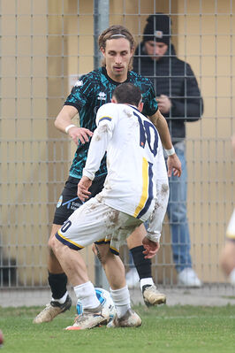 SANPAIMOLA - SPAL ARS ET LABOR