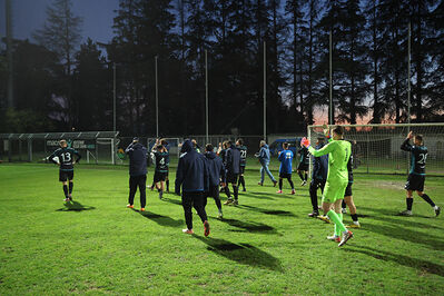 SANPAIMOLA - SPAL ARS ET LABOR