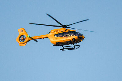 SANPAIMOLA - SPAL ARS ET LABOR