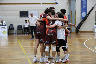 CAVALLINO 4 TORRI - HOKKAIDO BOLOGNA