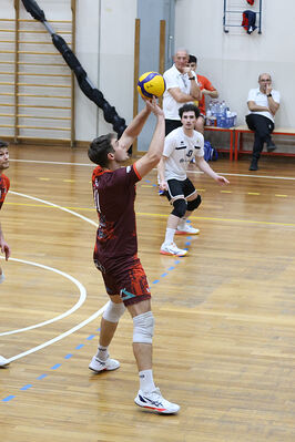 CAVALLINO 4 TORRI - HOKKAIDO BOLOGNA