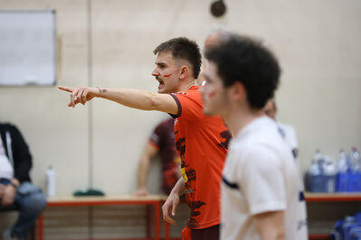 CAVALLINO 4 TORRI - HOKKAIDO BOLOGNA