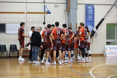 CAVALLINO 4 TORRI - HOKKAIDO BOLOGNA