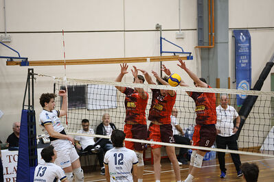 CAVALLINO 4 TORRI - HOKKAIDO BOLOGNA