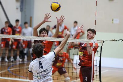 CAVALLINO 4 TORRI - HOKKAIDO BOLOGNA