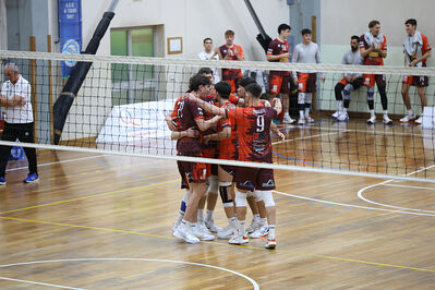 CAVALLINO 4 TORRI - HOKKAIDO BOLOGNA