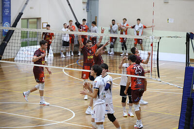 CAVALLINO 4 TORRI - HOKKAIDO BOLOGNA