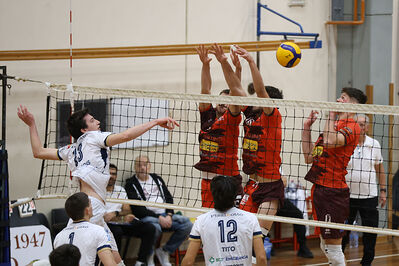 CAVALLINO 4 TORRI - HOKKAIDO BOLOGNA