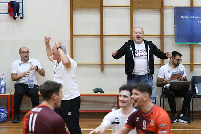 CAVALLINO 4 TORRI - HOKKAIDO BOLOGNA