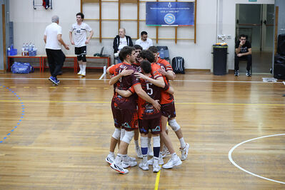 CAVALLINO 4 TORRI - HOKKAIDO BOLOGNA