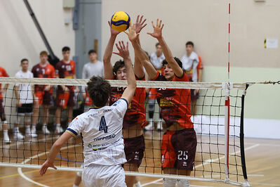 CAVALLINO 4 TORRI - HOKKAIDO BOLOGNA