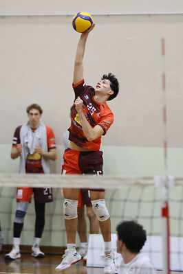 CAVALLINO 4 TORRI - HOKKAIDO BOLOGNA