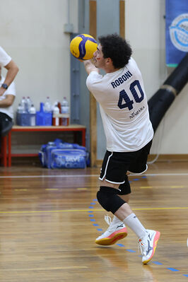 CAVALLINO 4 TORRI - HOKKAIDO BOLOGNA