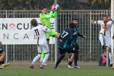 SANPAIMOLA - SPAL ARS ET LABOR