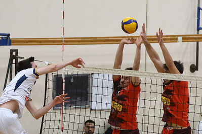 CAVALLINO 4 TORRI - HOKKAIDO BOLOGNA