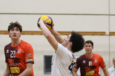 CAVALLINO 4 TORRI - HOKKAIDO BOLOGNA