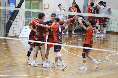 CAVALLINO 4 TORRI - HOKKAIDO BOLOGNA