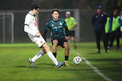 SANPAIMOLA - SPAL ARS ET LABOR