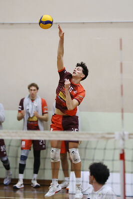 CAVALLINO 4 TORRI - HOKKAIDO BOLOGNA