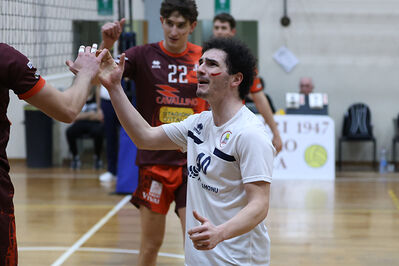 CAVALLINO 4 TORRI - HOKKAIDO BOLOGNA