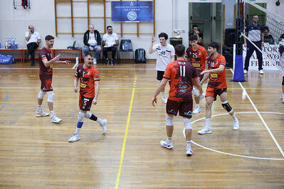 CAVALLINO 4 TORRI - HOKKAIDO BOLOGNA