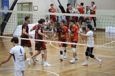 CAVALLINO 4 TORRI - HOKKAIDO BOLOGNA