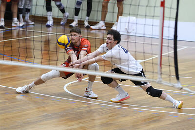 CAVALLINO 4 TORRI - HOKKAIDO BOLOGNA