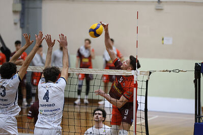 CAVALLINO 4 TORRI - HOKKAIDO BOLOGNA