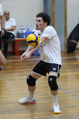 CAVALLINO 4 TORRI - HOKKAIDO BOLOGNA