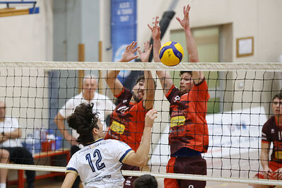 CAVALLINO 4 TORRI - HOKKAIDO BOLOGNA