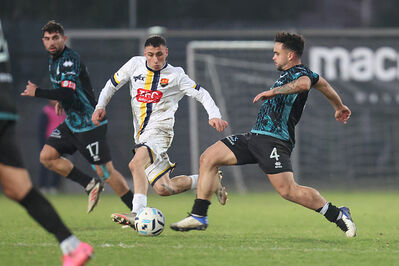 SANPAIMOLA - SPAL ARS ET LABOR