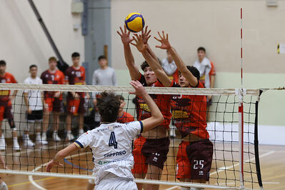 CAVALLINO 4 TORRI - HOKKAIDO BOLOGNA