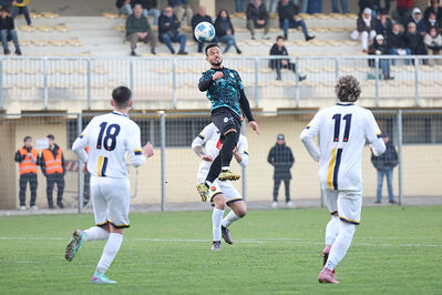 SANPAIMOLA - SPAL ARS ET LABOR