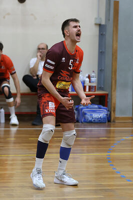 CAVALLINO 4 TORRI - HOKKAIDO BOLOGNA