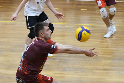 CAVALLINO 4 TORRI - HOKKAIDO BOLOGNA