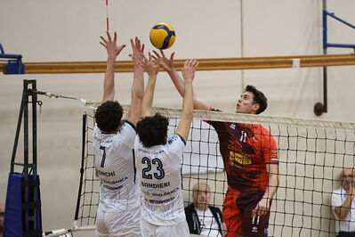 CAVALLINO 4 TORRI - HOKKAIDO BOLOGNA