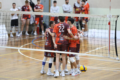 CAVALLINO 4 TORRI - HOKKAIDO BOLOGNA