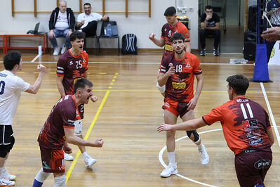 CAVALLINO 4 TORRI - HOKKAIDO BOLOGNA