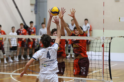 CAVALLINO 4 TORRI - HOKKAIDO BOLOGNA