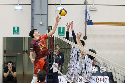 CAVALLINO 4 TORRI - HOKKAIDO BOLOGNA