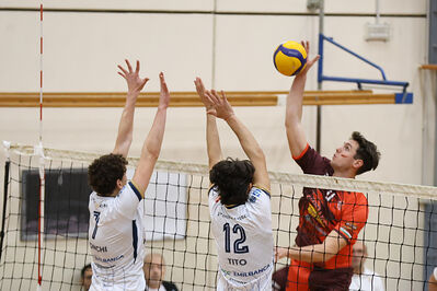 CAVALLINO 4 TORRI - HOKKAIDO BOLOGNA