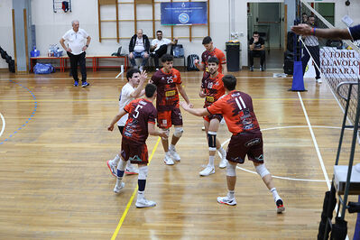 CAVALLINO 4 TORRI - HOKKAIDO BOLOGNA