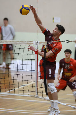 CAVALLINO 4 TORRI - HOKKAIDO BOLOGNA