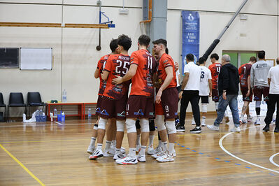 CAVALLINO 4 TORRI - HOKKAIDO BOLOGNA