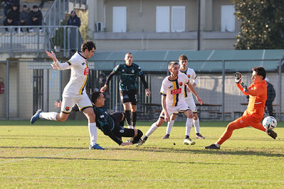 SANPAIMOLA - SPAL ARS ET LABOR