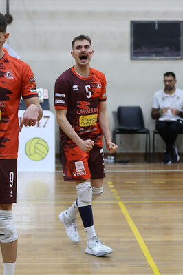 CAVALLINO 4 TORRI - HOKKAIDO BOLOGNA